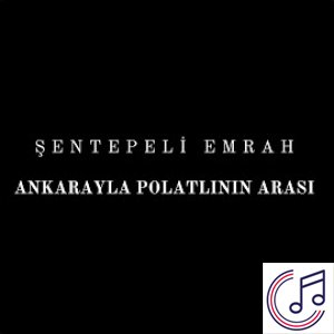 Ankarayla Polatlının Arası albüm kapak resmi