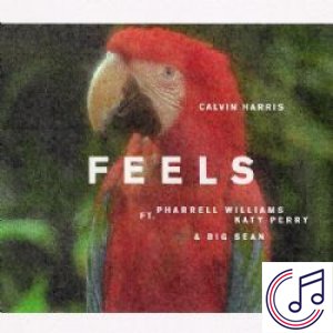 Feels albüm kapak resmi