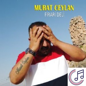 Firari Deli albüm kapak resmi