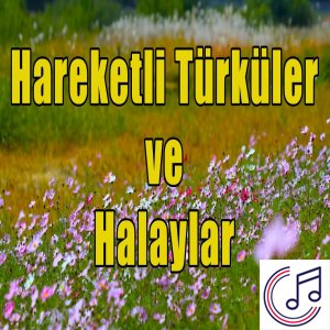 Halaylar Hareketli Türküler albüm kapak resmi
