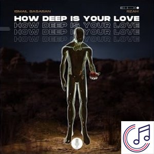 How Deep Is Your Love albüm kapak resmi