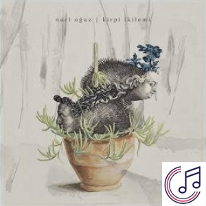 Kirpi İkilemi albüm kapak resmi