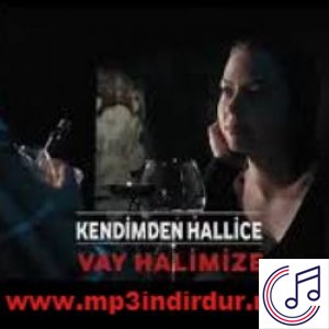 Vay Halimize albüm kapak resmi