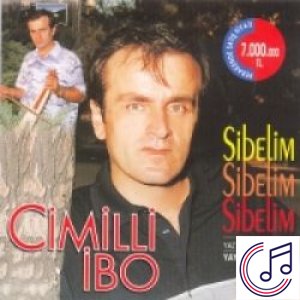 Yaz Geldiği Zamanda Sibelim albüm kapak resmi